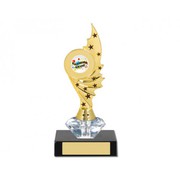 Get All Types of Trophies to Buy Online in Australia 