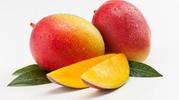 Mangoes Exporters and Suppliers in India