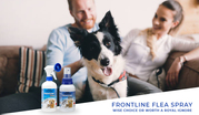 Frontline Flea Spray: Wise Choice or Worth a Royal Ignore