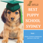 Best Puppy School Sydney
