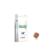 Royal Canin Canine Dental Small Dog Food