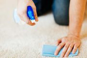 commercial carpet cleaning sydney