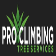 Pro Climbing Tree Services