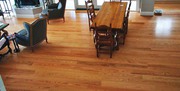 Bring nature into your home with timber flooring