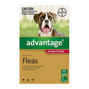 Flea and Tick control - Advantage for Large Dogs