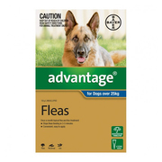 Flea and Tick control - Advantage for Xlarge Dogs