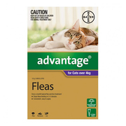 Flea and Tick control - Advantage for Cats