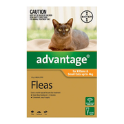 Flea and Tick control - Advantage for Small Cats