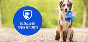 Australia Day: Tips on Pet Safety