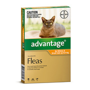 Advantage for Cats - Flea Control Treatment