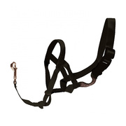 JorVet Halti Head Collars