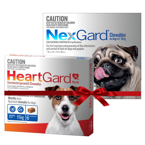 buy-heartgard-and-nexgard-combo-for-dogs-online-at-lowest-price