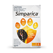 Simparica Chewables for Dogs