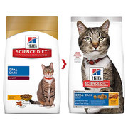 Buy Hill’s Science Diet Adult Oral Care Dry Cat Food at best price onl