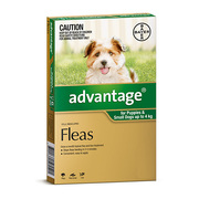 Buy Advantage for Dogs at best price in Australia - Flea Treatment