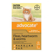 ADVOCATE FOR CATS