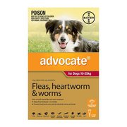 Advocate for Dogs For Large Dogs 10 to 25 Kg (Red)