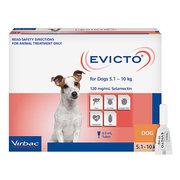 Buy Branded Evicto Spot on for Small Dogs | Flea,  Tick and Heartworm