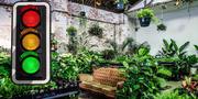 Sydney - Huge Indoor Plant Warehouse Sale - Jungle Love