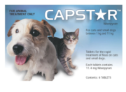 Buy Capstar Flea Treatment Online-vetsupply