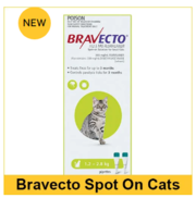 Buy Bravecto spot-on, flea and tick treatment for cats-VetSupply