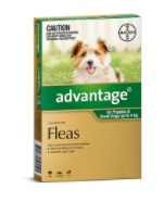 Buy Advantage Spot-On Flea Treatment for Dogs Online - DiscountPetCare