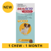 Buy Bravecto 1 Month Chew for Dogs Online - DiscountPetCare