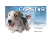 Capstar Oral Flea Treatment For Dogs Online - DiscountPetCare