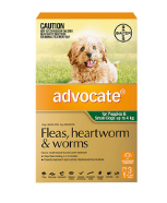 Buy Advocate Heartworm,  Flea & Intestinal Worm Control for Dogs Online