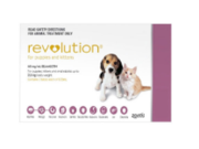 Buy Revolution Heartworm & Flea Treatment For Dogs Online