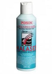 Buy Malaseb Medicated Foam Shampoo for Dogs| Pet Shampoo and Washes