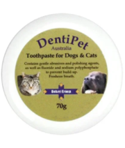 Buy Dentipet Dog & Cat Chicken Flavour Toothpaste Online- VetSupply 