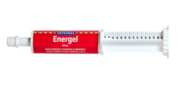 Buy Vetsense Energel for Dogs and Cats  Online - VetSupply 