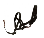 Buy JorVet Halti Head Collar For Dogs Online - VetSupply 		