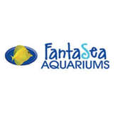  Aquarium Shop in Australia | Fantasea Aquariums