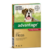 Buy Advantage for Large Dogs Red Pack|Flea Treatment|Online at Lowest