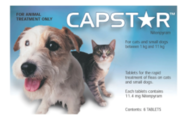 Buy Capstar for Small Dogs Blue Pack|Flea,  Tick,  and Heartworm