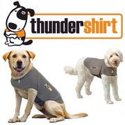 Buy Thundershirt Grey For Dogs Online - DiscountPetCare