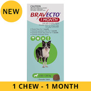 Buy Bravecto For Medium Dogs 10-20Kg (Green) Online | DiscountPetCare