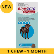 Buy Bravecto For Large Dogs 20-40Kg (Blue) Online | DiscountPetCare