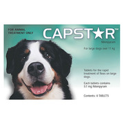 Capstar For Large Dogs | Flea & Tick Treatment | DiscountPetCare