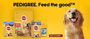 Buy Pedigree Healthy and Nutritous Food for Dogs|Pet Supplies