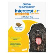 Buy Interceptor Spectrum Tasty Chews For Medium Dogs 11 to 22kg Yellow