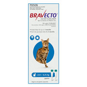 Buy Bravecto Spot On for Medium Cats 2.8 to 6.25kg Blue|Flea,  Ticks