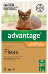 Buy Advantage for Kitten and Small Cats Upto 4kg Orange|Flea Treatment