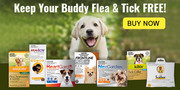 Buy Flea and Tick treatment for dogs at lowest price online | Pet Care