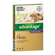Buy Advantage For Cats Over 4kg (Purple) | DiscountPetCare