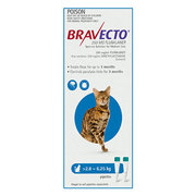 Buy Bravecto Spot On For Medium Cats (2.8 - 6.25 Kg) Blue