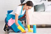 Professional Carpet Steam Cleaning Sydney