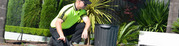 Lawn Repairs & Top Dressing Services In Brisbane